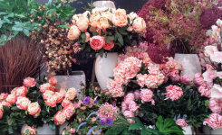 Flower Shop – Partea I