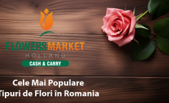 Cele Mai Populare Tipuri de Flori în Depozitele En-Gros și Utilizările Lor