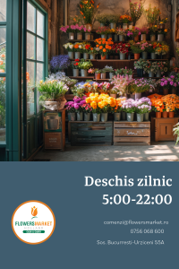 depozit flori angros in Bucuresti, depozit flori naturale