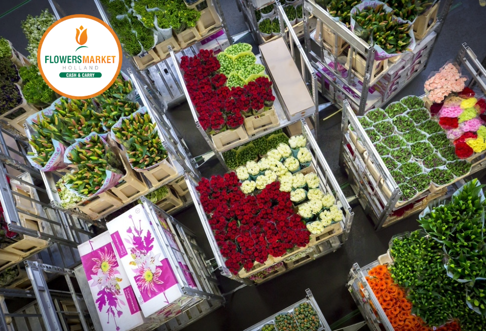 cresterea preturilor in industria de flori, florarii, preturi flori, floristica