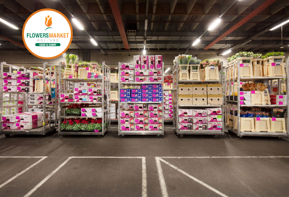 industria de flori din Romania