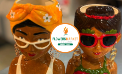 Promotii la Vase, Vaze si Ghivece – Flowers Market Holland