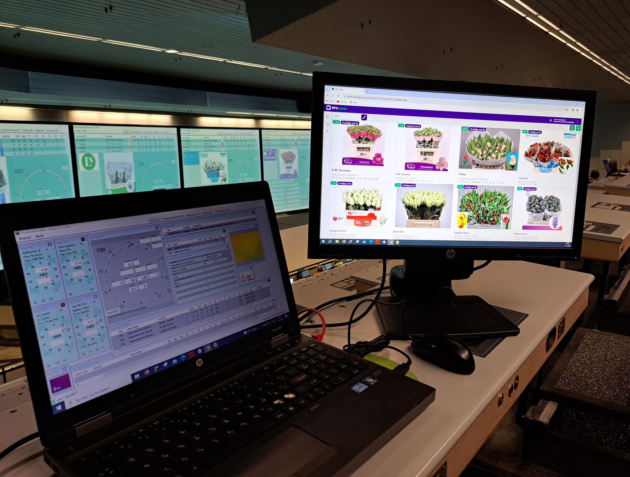 De unde cumpără florăriile flori la preț de en-gros?