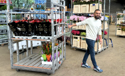 De unde cumpără florăriile flori la preț de en-gros?