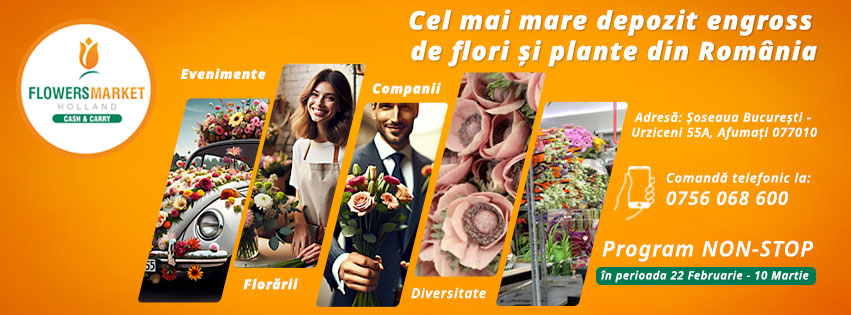 depozit flori en-gross, flori angros