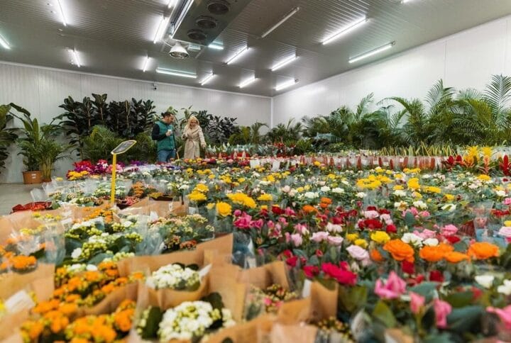 Cum optimizezi aprovizionarea florăriilor online cu flori și plante de la Flowers Market Holland