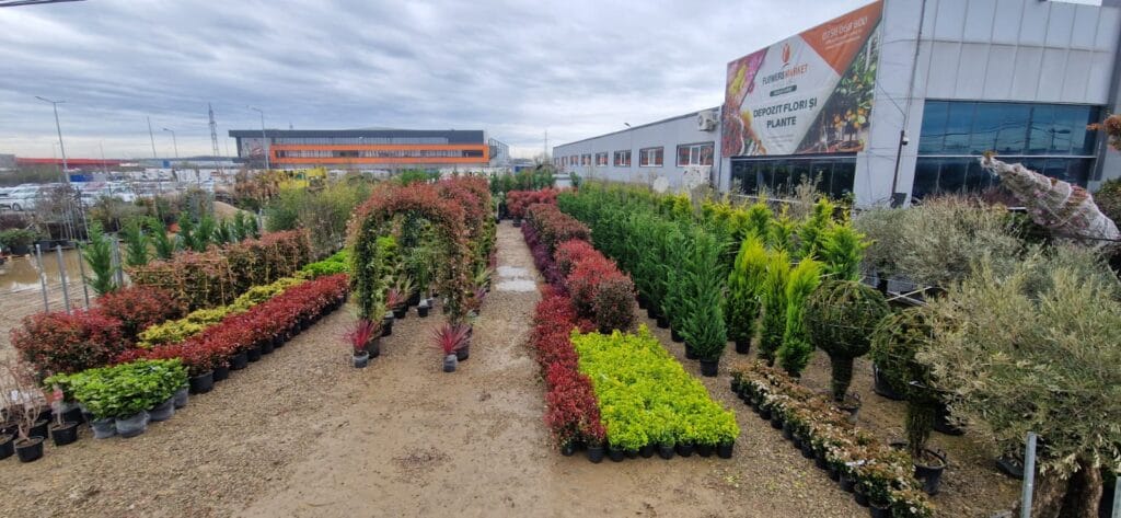 garden center Bucuresti