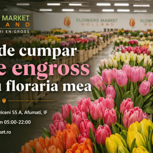 De unde poți cumpăra lalele en-gros pentru florăria ta