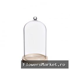 Glas Stolp Knop hout d12.5/14*23.5cm