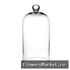 Glas Stolp Knop d18*40cm