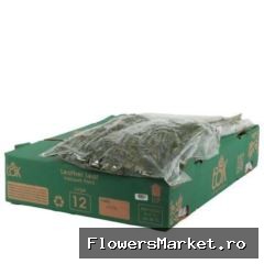 LEDERVAREN EXTRA VACUUM X 12 TAK GROEN