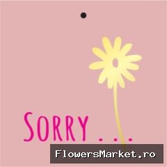 Labels Kaart 7*7cm x20 Sorry