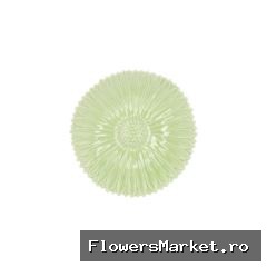 Bloom Daisy Plate Green 17x17x4cm Nm