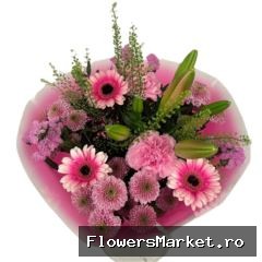 Bq Volume Voltage Pink M