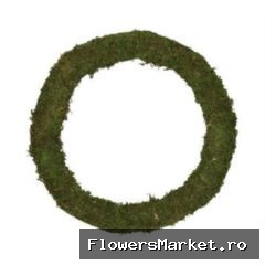 Wr Asia Moss 10cm Green