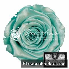 Xl Satin Tiffany Blu02