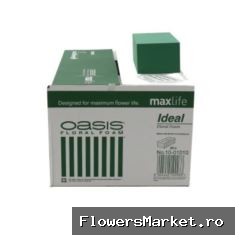Oasis Blok Ideal x20 23*11*8cm