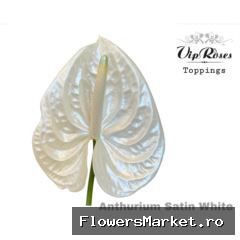 ANT A SATIN WHITE
