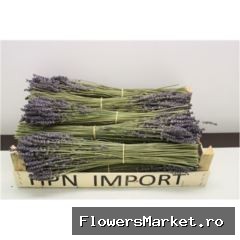 Lavendel Droog X10