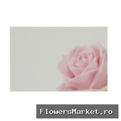 Labels Kaart 9*6cm x50 Rose Pink