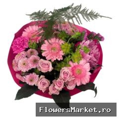 Bq Barbapapa pink M
