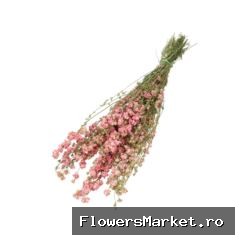 Droogbloem Delphinium 60cm