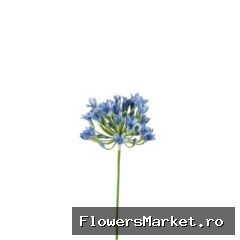 Kunstbloemen Agapanthus 75cm
