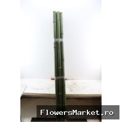 Bamboe 60-80 2meter