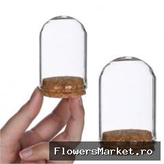 Glas Stolp Kurk d06*8cm