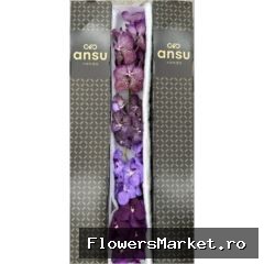 Vanda Purple mix x4