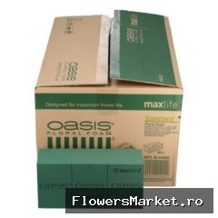 Oasis Blok Std x20 23*11*8cm