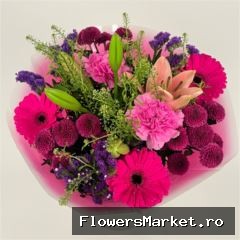 Bq Volume Voltage Purple M