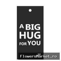 Labels Kaart 5*10cm x20 Big Hug