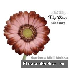 GE MI MOKKA