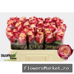 Rosa GR 'Chapeau'