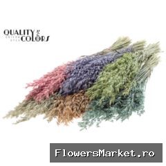 Avena per bunch Mixed colours Frosted