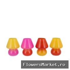 Bicolore Dutch Orange Mix Led Mushroom Ass 12x15cm Nm