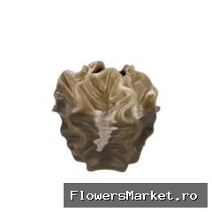 Dion Brown Vase 17x17x16cm