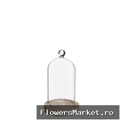Glas Stolp Knop hout d08/10*17cm