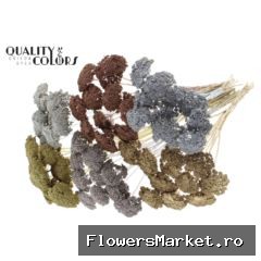 Achillea 2-4cm per stem Mixed colours Metallic