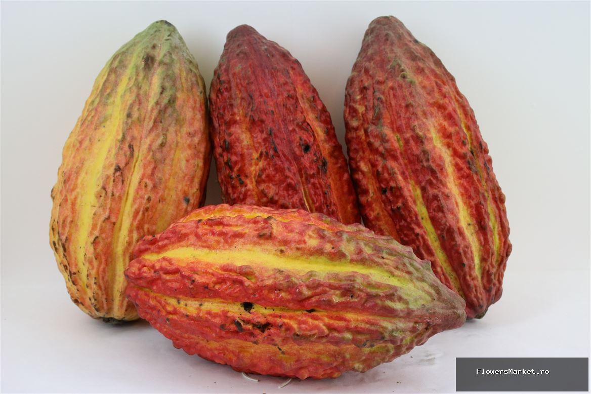 Cacao Pods Ass (mg)
