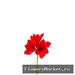 Kunstbloemen Amaryllis 65cm