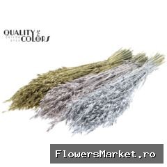 Avena per bunch Mixed colours Wedding