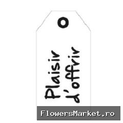 Labels Kaart 5*10cm x20 Plaisir offrir