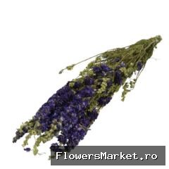 Droogbloem Delphinium 65-70cm x10