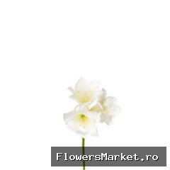 Kunstbloemen Amaryllis 65cm