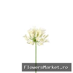 Kunstbloemen Agapanthus 75cm