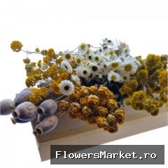 Droogbloem DIY box assorti 45-65cm