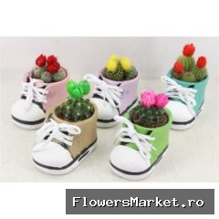 arr3 UB - Ker. schoen kl. mix x10